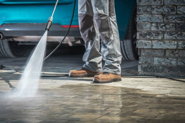 Best Pre-Holiday Cleaning  in Alton, IL