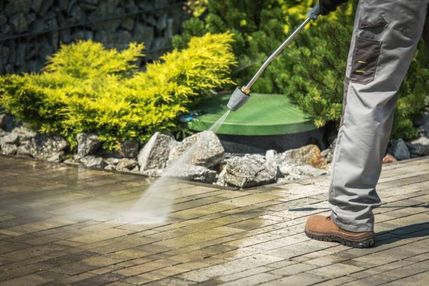 Best Sidewalk and Walkway Cleaning  in Alton, IL